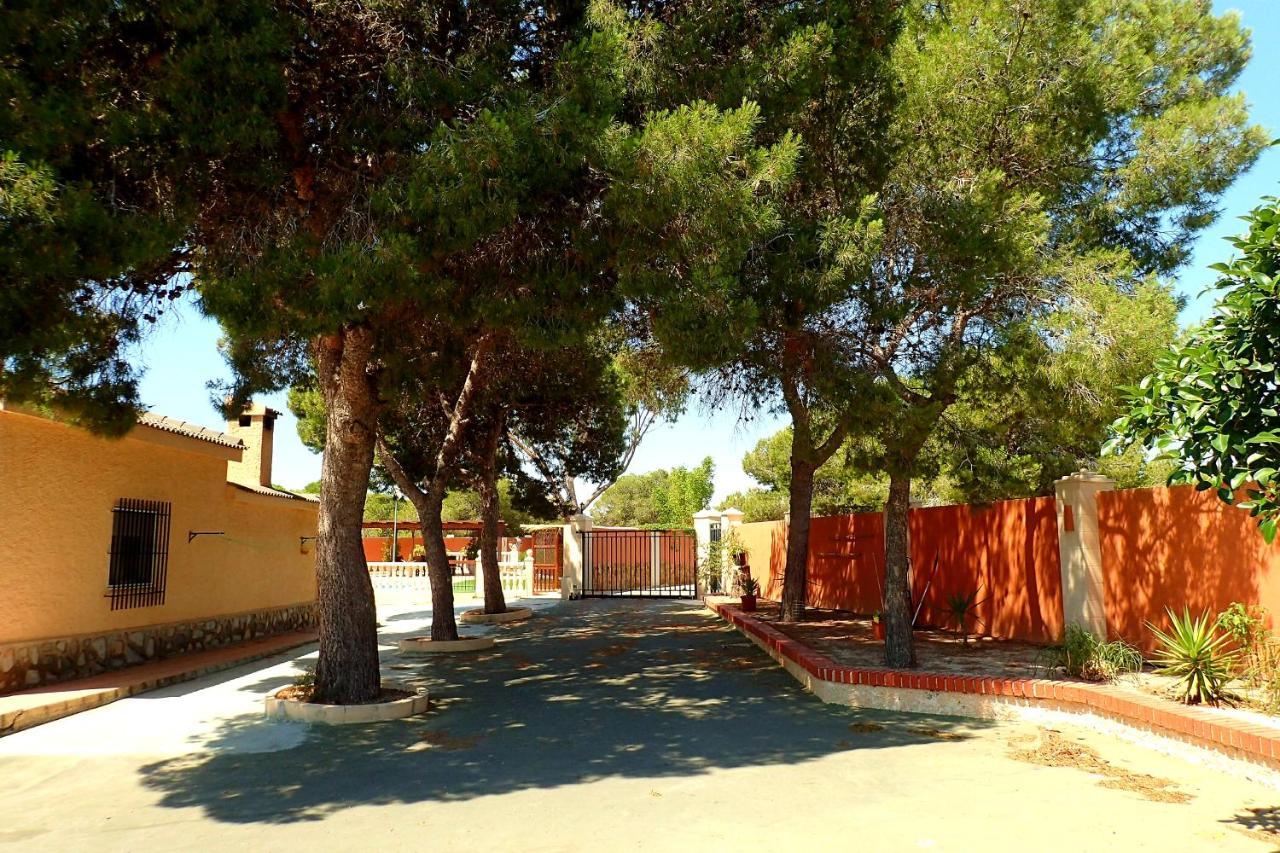 Villa Buganvilla Elche Exterior foto