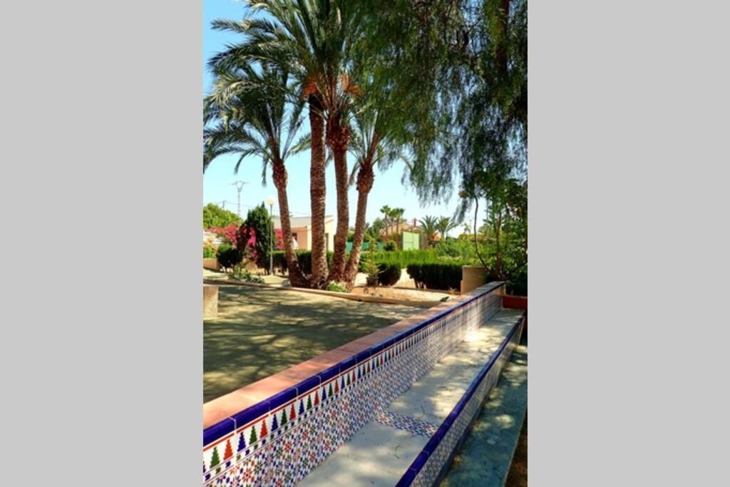 Villa Buganvilla Elche Exterior foto