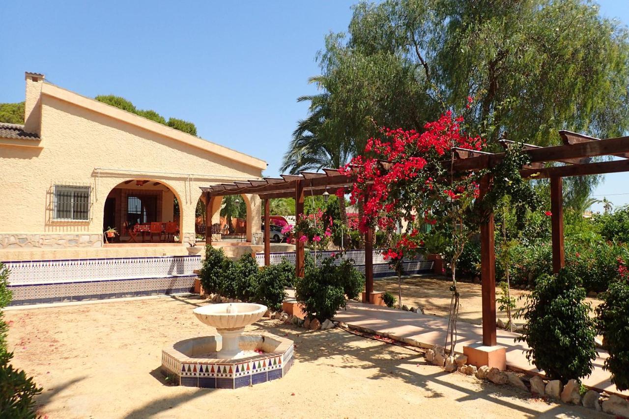 Villa Buganvilla Elche Exterior foto
